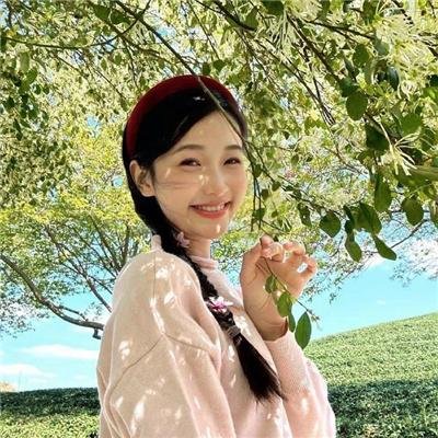 孤高的手术刀